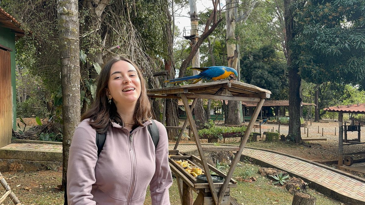 Bebezão da boca inchada tweet media