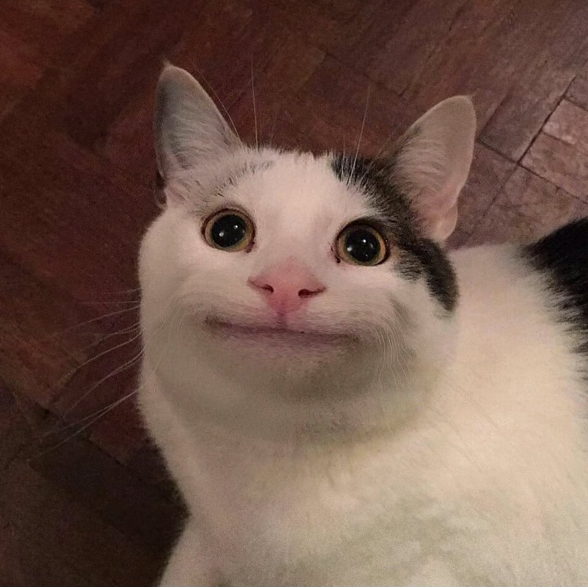 dahyunpopbase's tweet image.