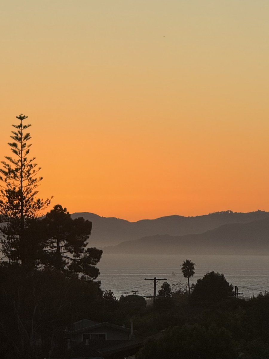 jesse.base.eth tweet media