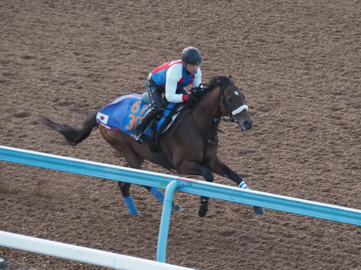 木津信之（日刊ゲンダイ競馬🏇） on X