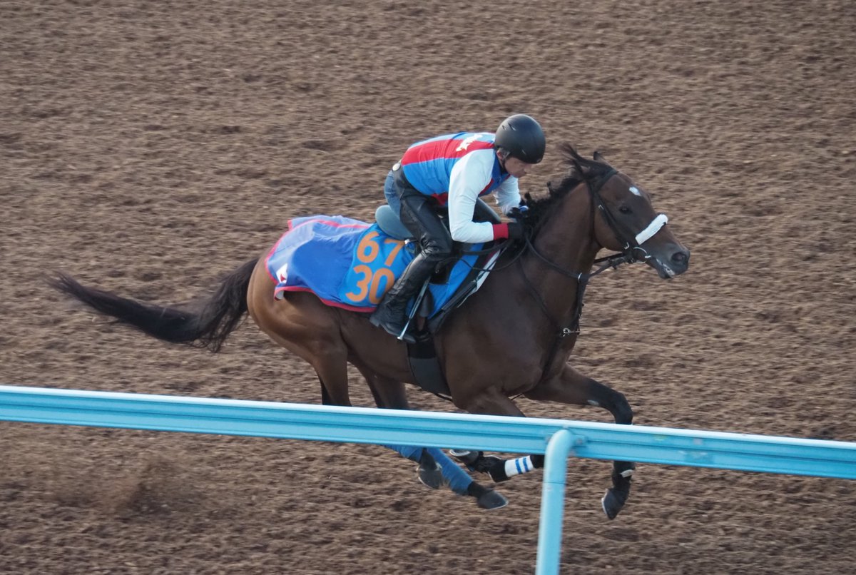 木津信之（日刊ゲンダイ競馬🏇） on X