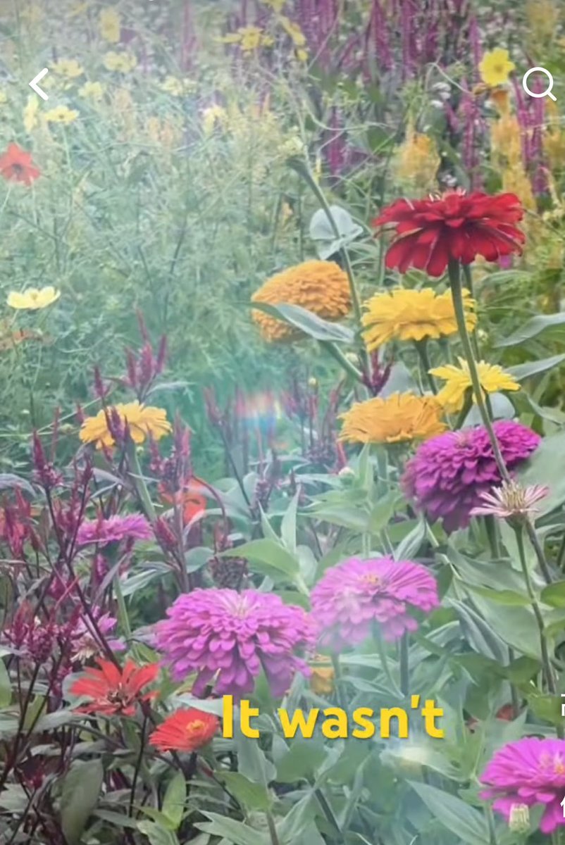 "It wasn't" by Torment ofGloom×Khan music.apple.com/jp/album/it-... youtube.com/shorts/_IFPrRf… <a href="/YouTube/">YouTube</a>より
※自作なのにブロック問題笑
これは再投稿です（内容は変わらずアカウント側の変更）😊
#music #shorts #art