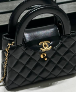 SwanEcho tweet media