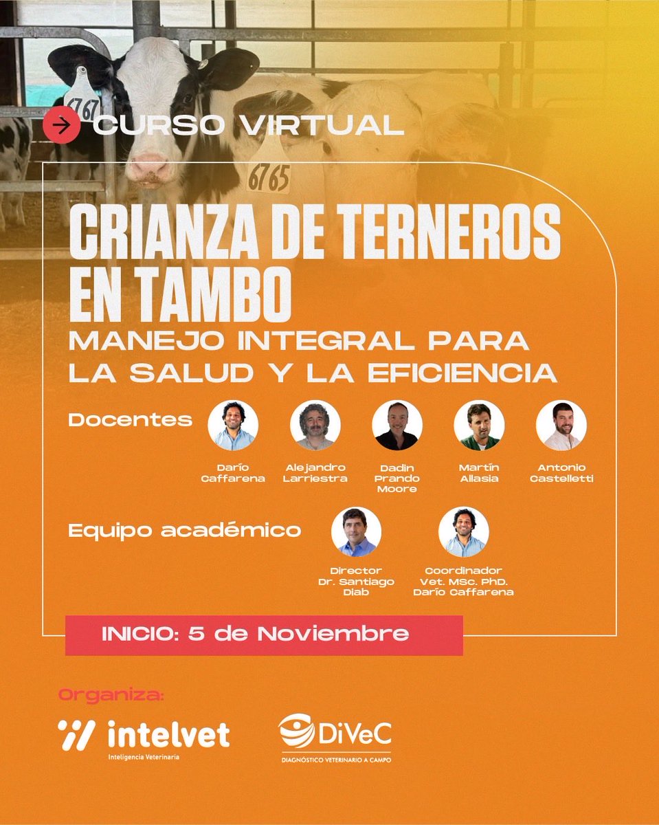 DarioCaffa's tweet photo. Cuenta regresiva para el inicio de la primera edición del curso virtual “Crianza de terneros en tambo: Manejo integral para la salud y eficiencia”. Curso impulsado por DIVEC e Intelvet y sponsoreado por OVER, el cual tengo el agrado de ser uno de los organizadores y disertante https://t.co/0YnoMwjTR5