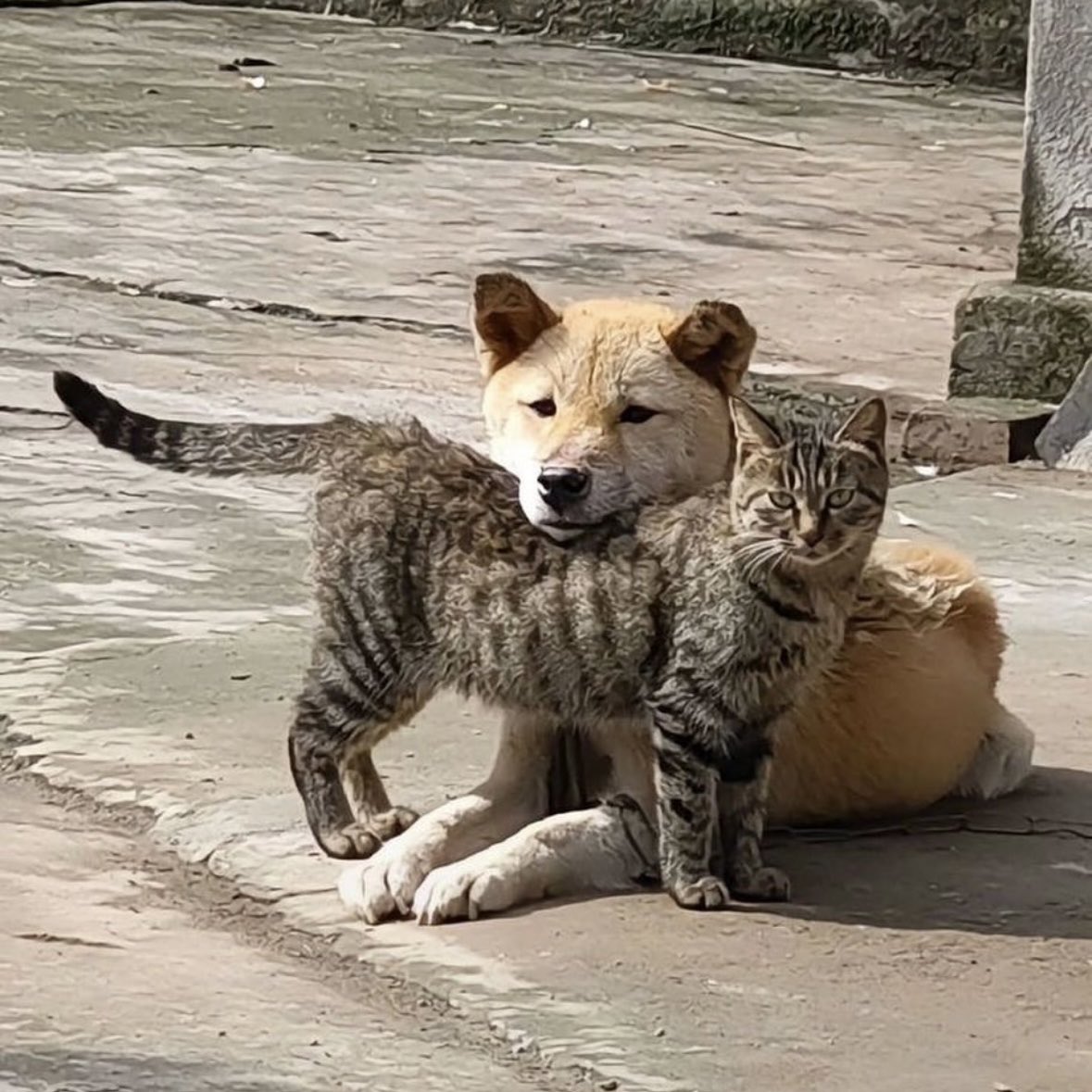 짤백업용 (@bback_it_up) on Twitter photo 