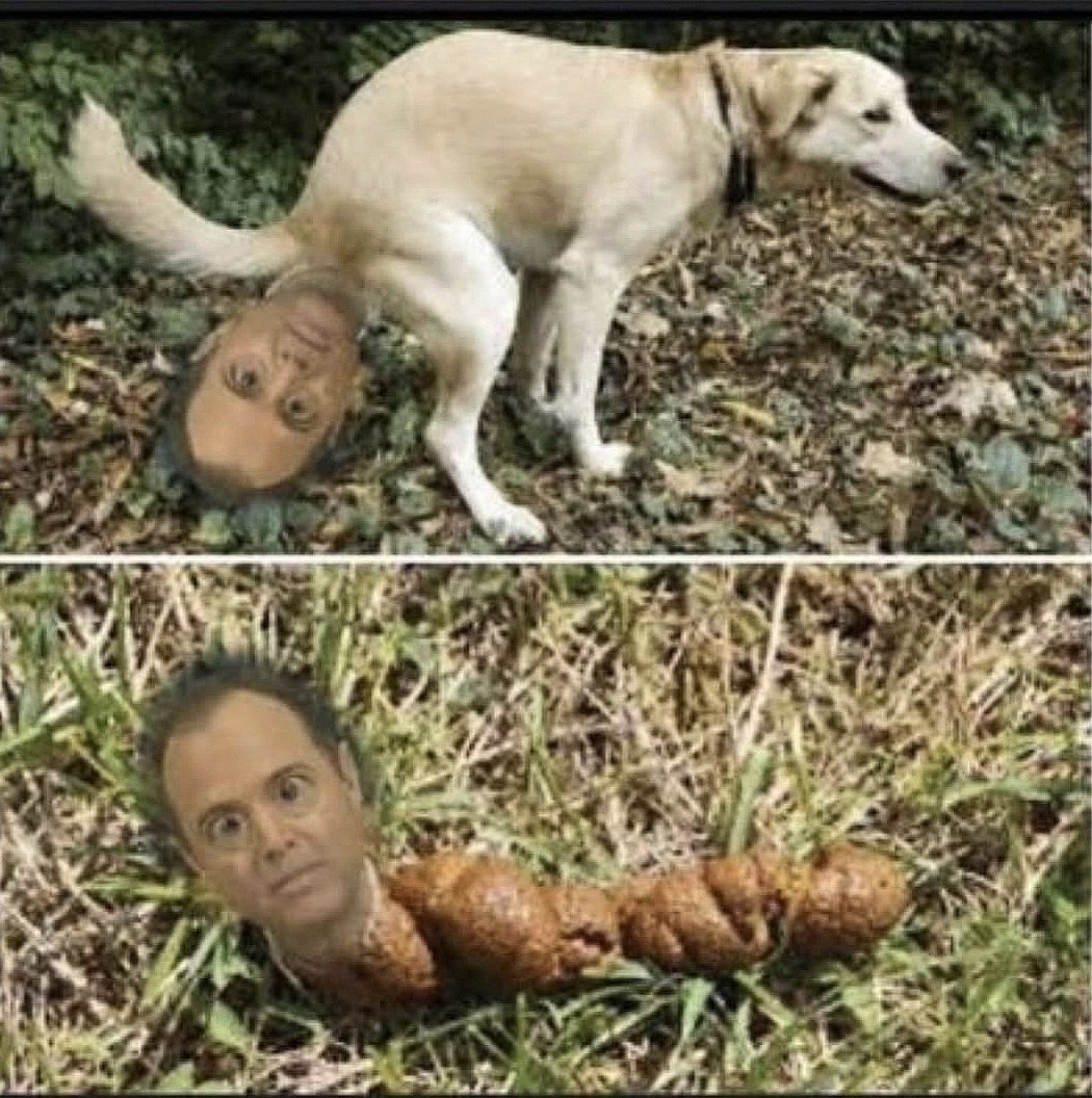 <a href="/SenAdamSchiff/">Adam Schiff</a> Hang on. I have to take an Schiff!