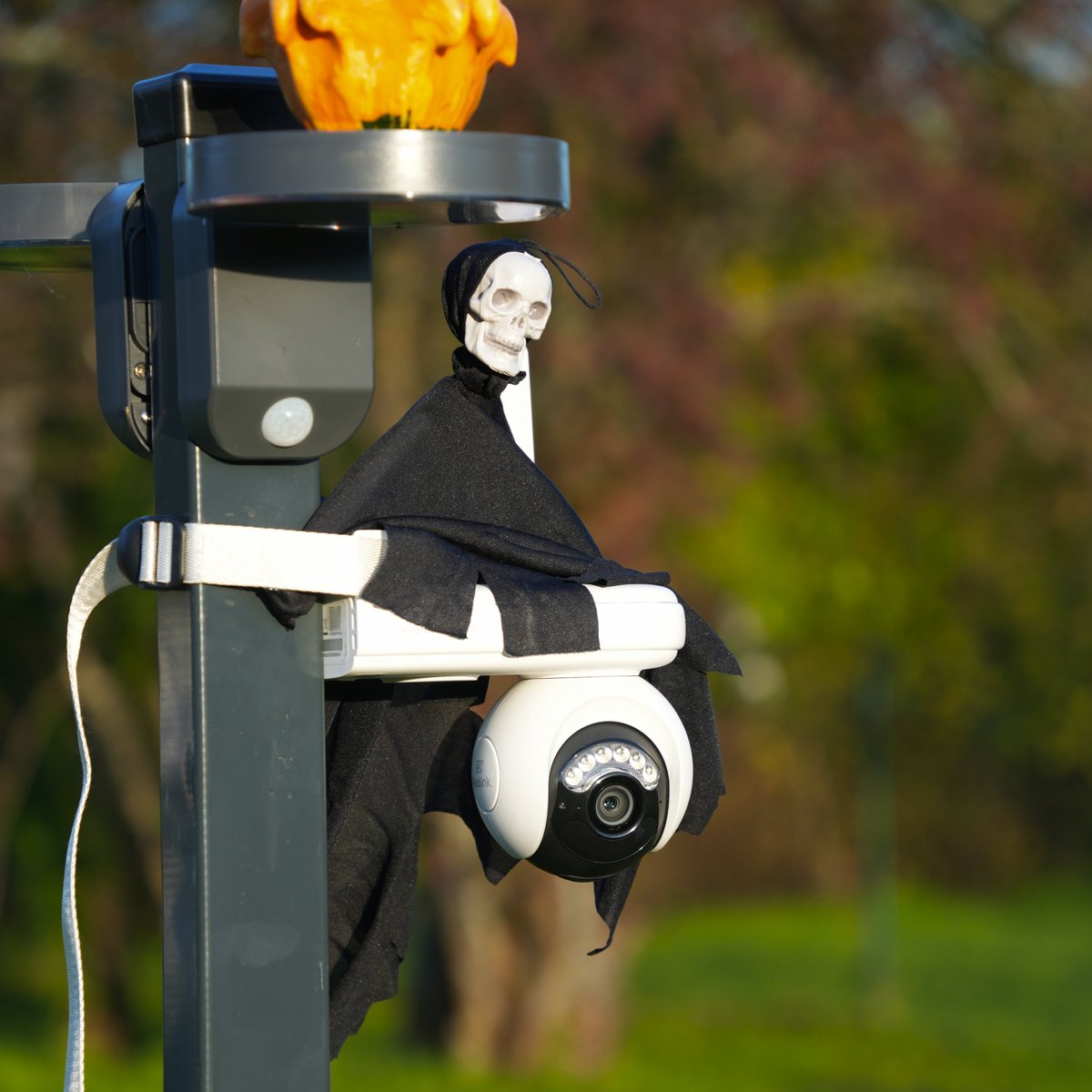 ReolinkTech's tweet image. 🎃🍬😆Halloween Vibe Setup Sharing—cozy, spooky, and a little magical. ✨
📷: dimox.t
#Reolink #ReolinkCamera #SecurityCamera #HomeSecurity #Halloween