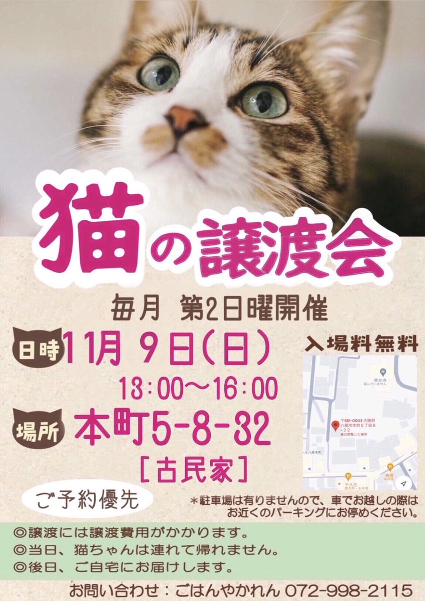 yaokankou's tweet photo. ～　保護猫の譲渡会🐈　～

11月9日（日）開催の「猫の譲渡会」のお知らせです🐱✨
猫ちゃんを飼ったことがない・譲渡会に参加したことがない方でも、少しでもご興味がありましたらお気軽にご参加ください😊

ぜひ譲渡会にお越し頂き、猫ちゃんに触れてみて下さいね😻 https://t.co/qvqLkicXEJ