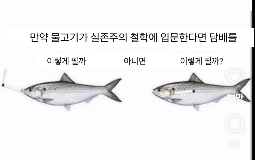 MD_Spooky's tweet photo. 이건 1이 맞지.
다만 담배연기는 아가미로 빠질것이야 https://t.co/P7ec0DSmWP