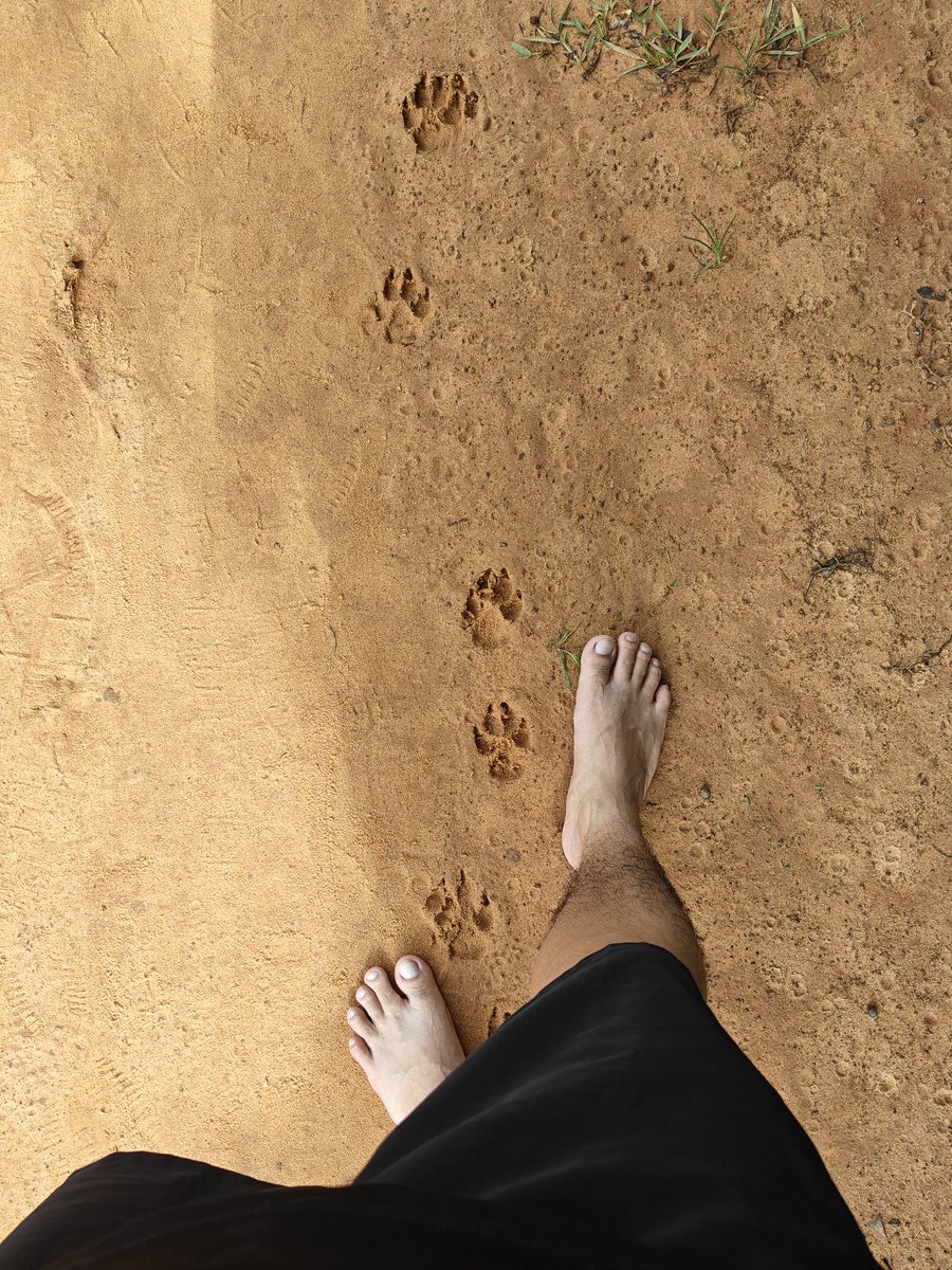 Learn to walk barefoot once in a while,the way Nature had taught us initially 🍀🌿💕