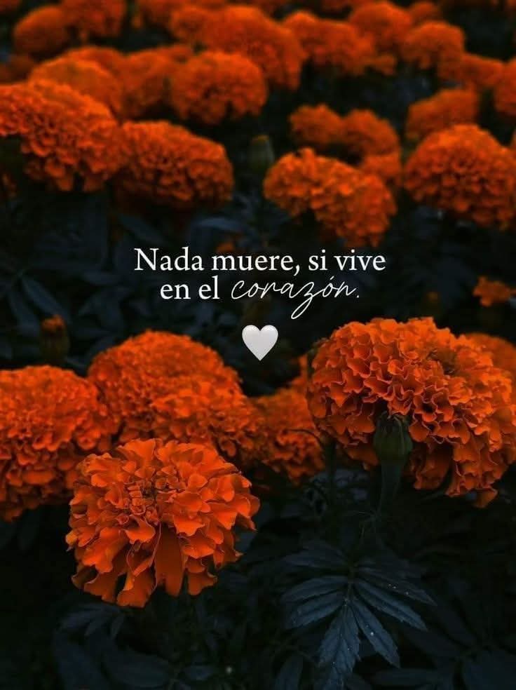 Ahora entremos en el silencio...

💕🪔🙏🏻