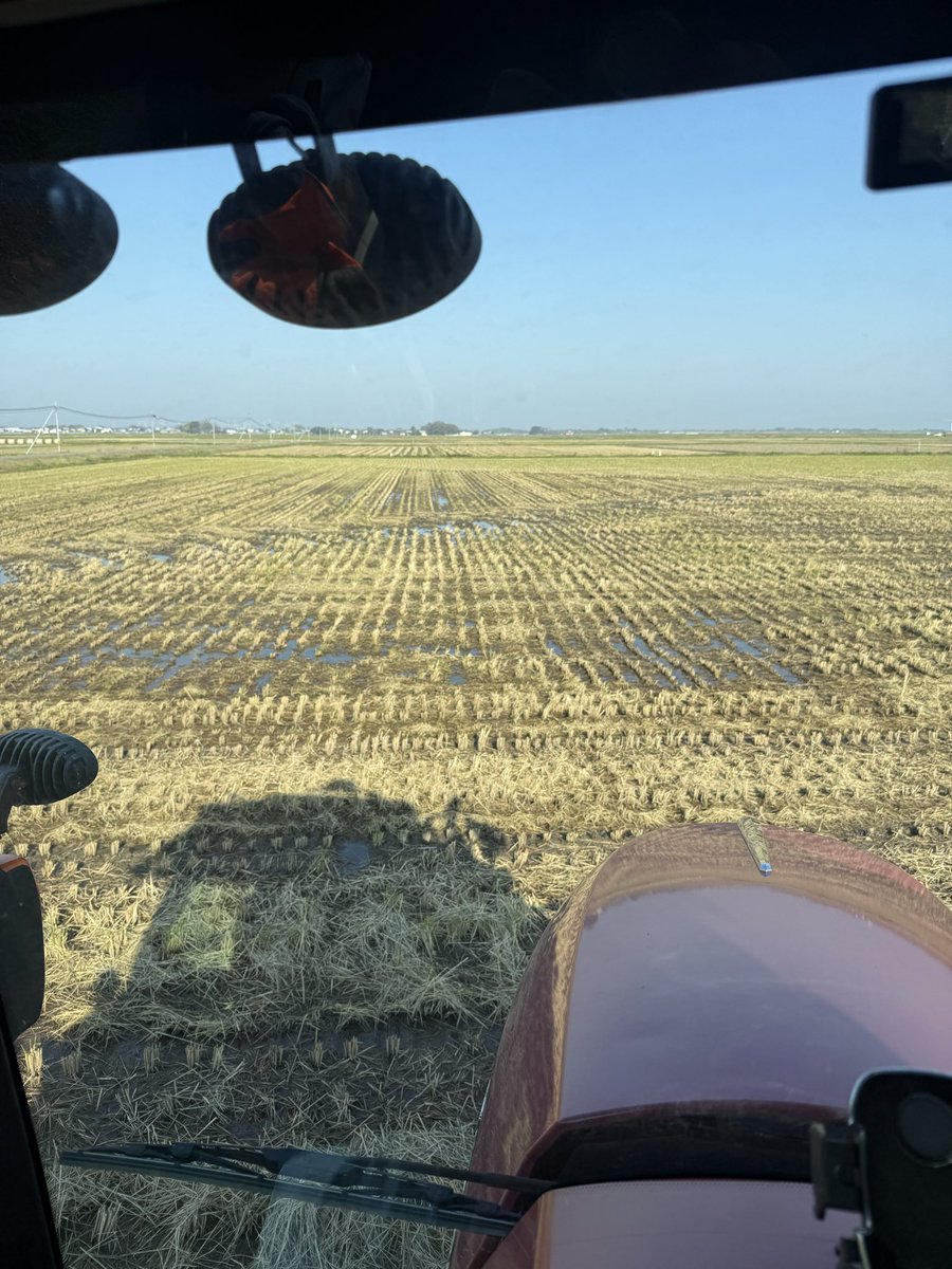 よいち (@Cg8fA28MG1Dty5i) / Posts / X