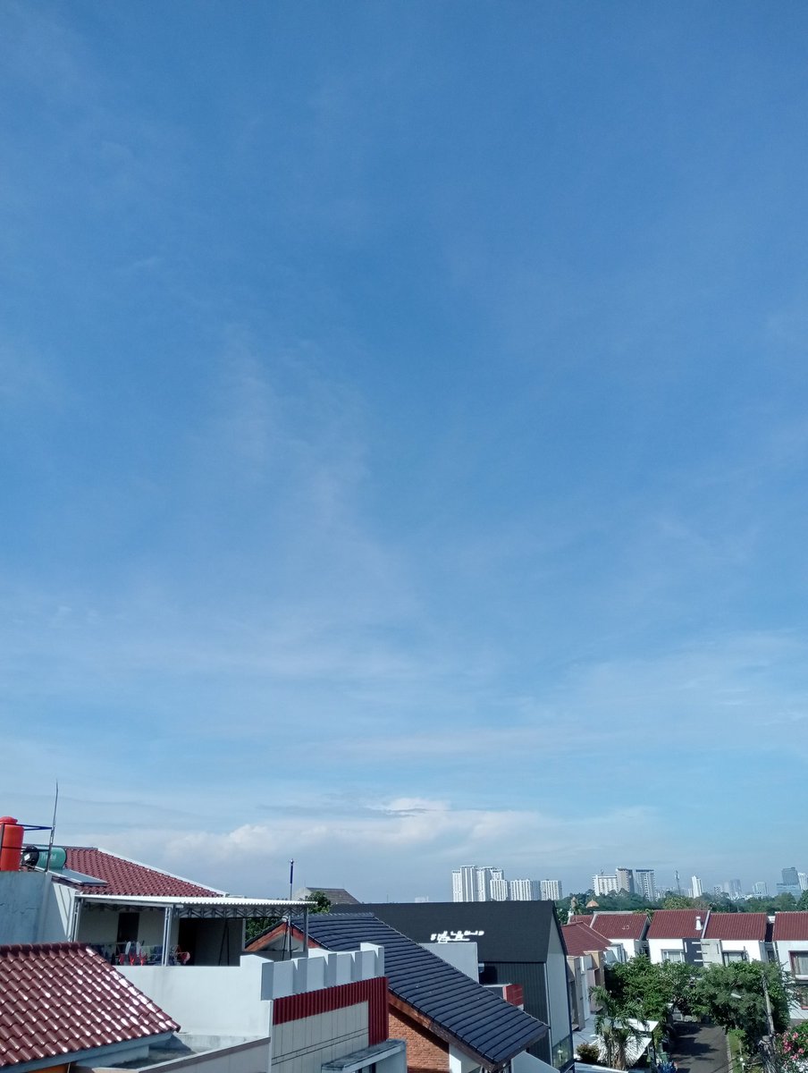 bashindo's tweet image. 晴天。
散歩日和。