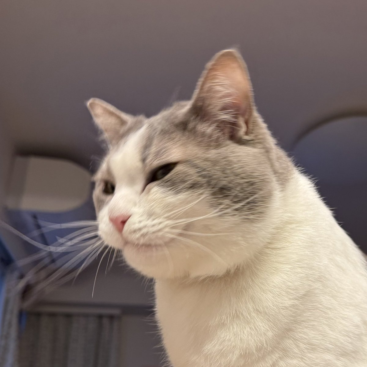 まろん様 Adidas ZX 9000 