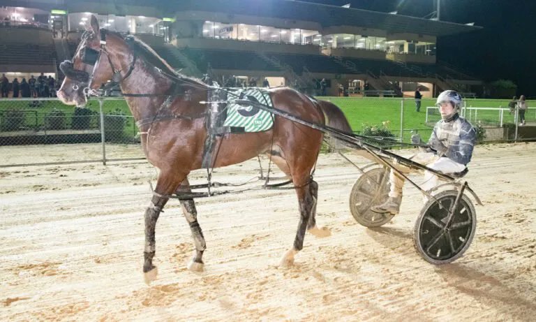 Harness Racing SA tweet media