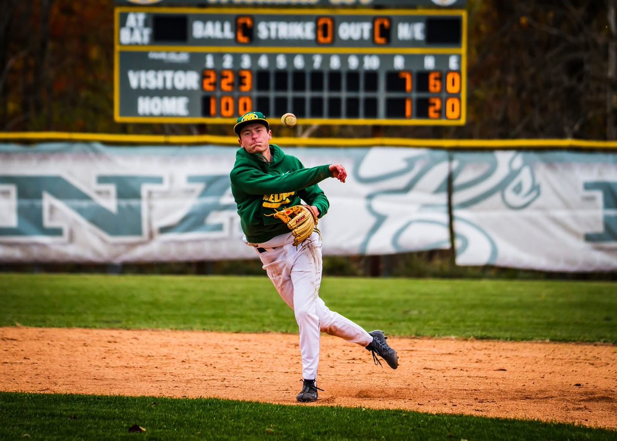Medina Bees Baseball tweet media