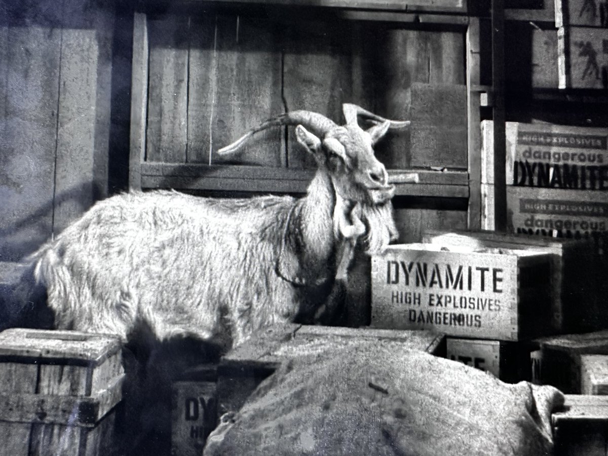 You’re right!  S3 E18 “The Loaded Goat”