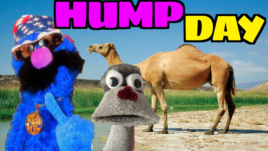 JollyPuppe20868's tweet photo. ๐จGOING LIVE in less than a hour!๐จ Hump Day!!!!๐ซ Spooky Humps!!!๐ It's that time of the year again as we talk about the best horror movies with nudity!๐ LOL๐คฃ come join the fun! โ๏ธ๐ฏ๐ช๐๐๐๐
https://t.co/fubAIHVa0a https://t.co/rn4ANjvFyN