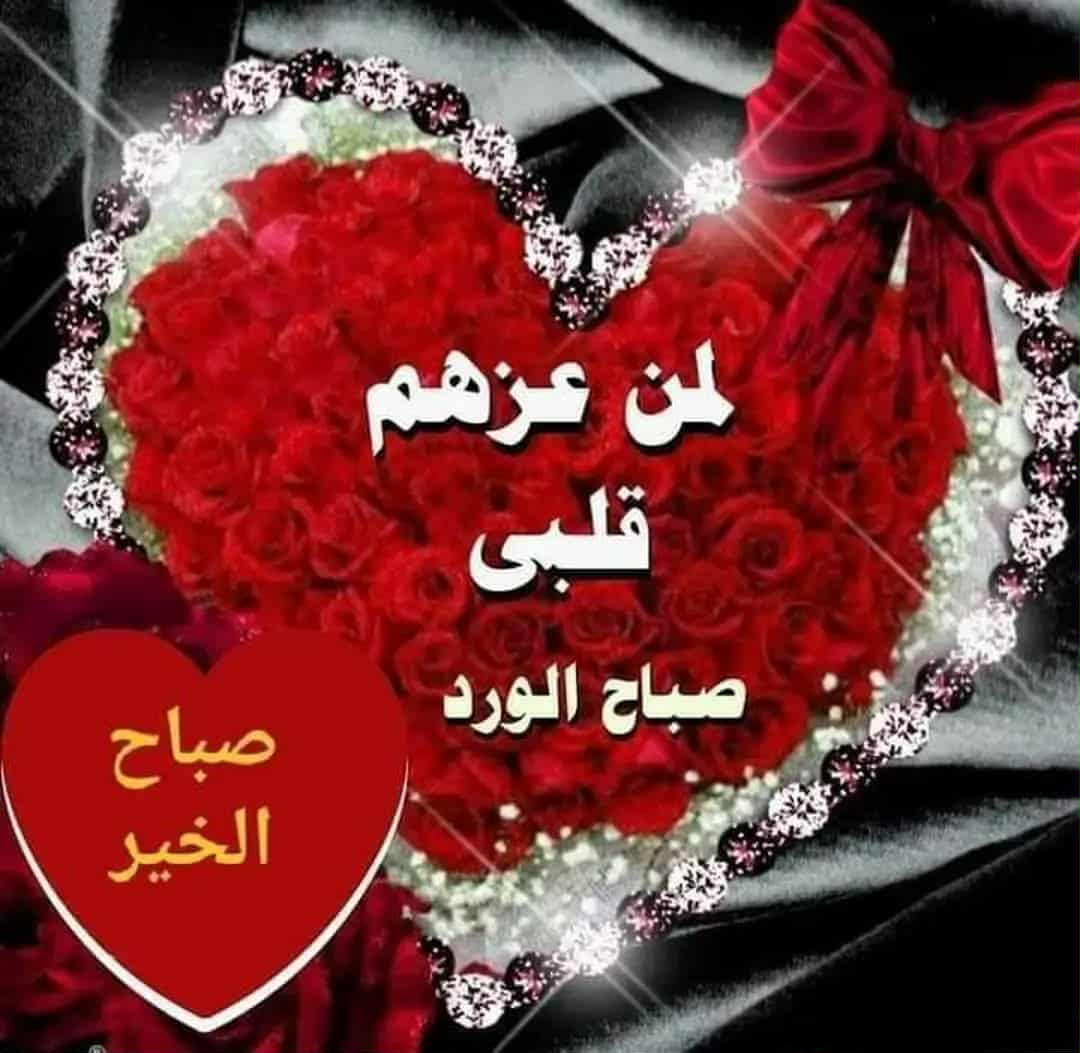 احفظ وجوه الذين رأيتهم في أوقات شدتك جيداً
ولا تسمح لغيرهم برؤيتك حين تزول الشدائد

فالجمهور كبير  لكن المقاعد محدودة
#صباح_الخير ☕️🩶