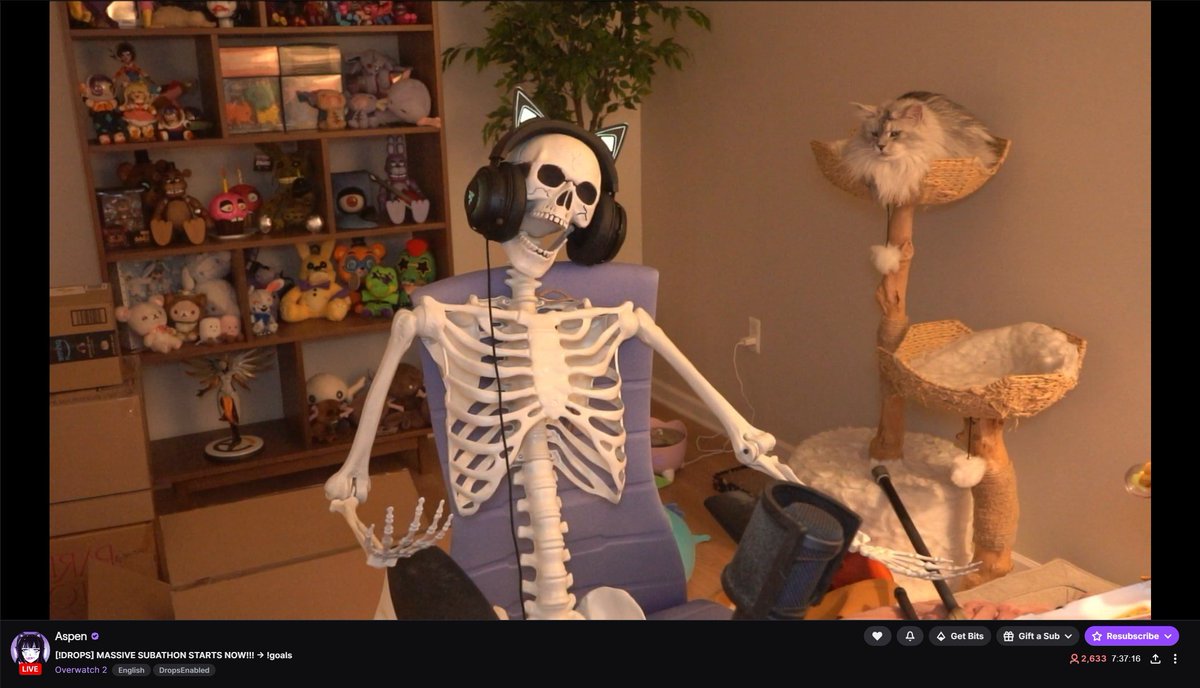 wreckyballs's tweet image. just clicked onto Aspens stream and she's just fucking dead