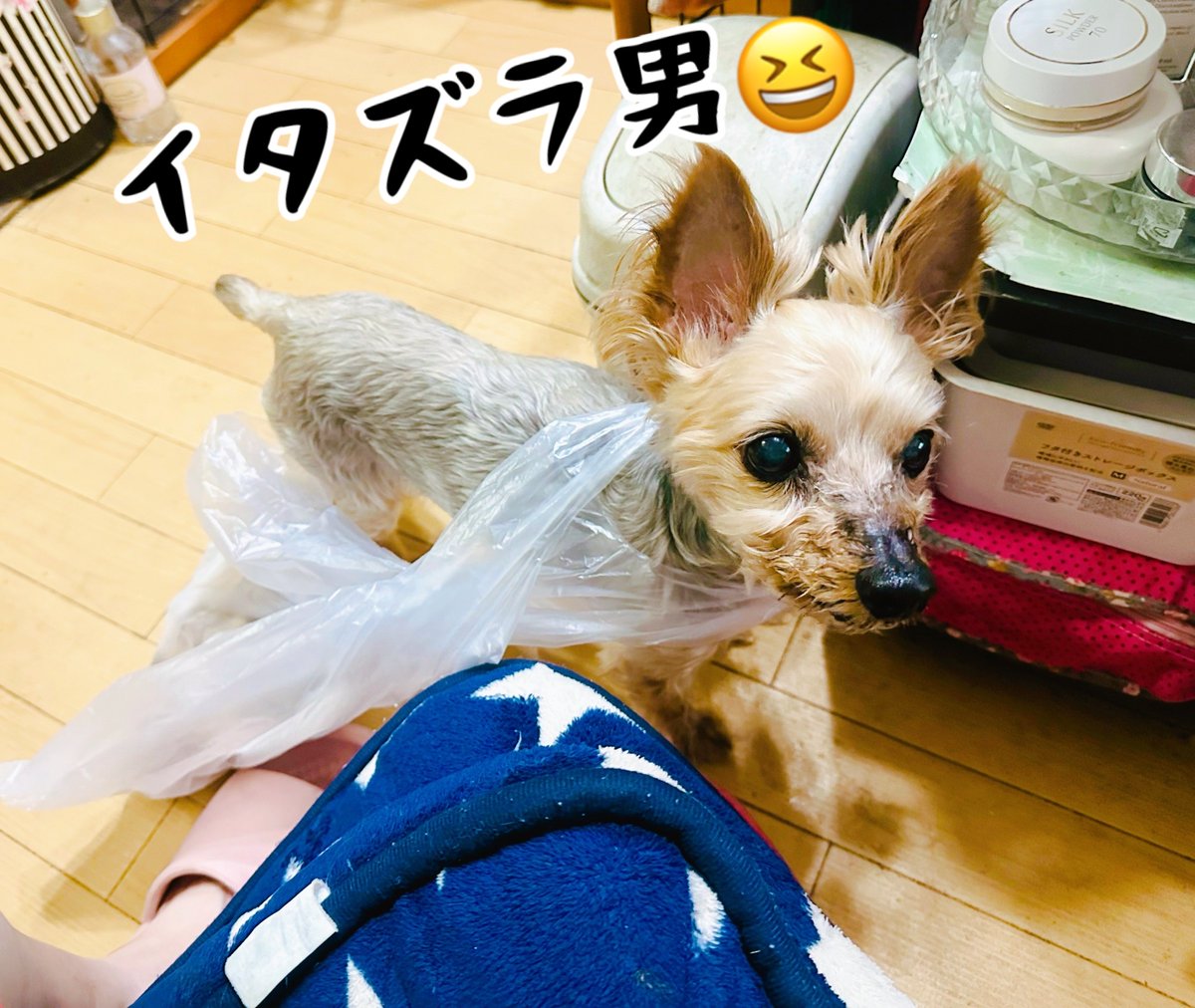 jasmine (@3030jasmine) / Posts / X