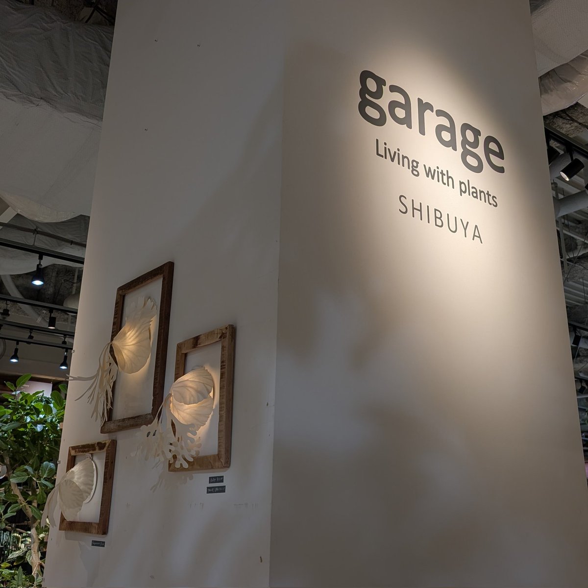 MimimiWith's tweet photo. Garage渋谷さんに納品に行ってきました。いつ行っても植物溢れる癒しの空間…雑貨も洗練されたデザインかと思えば、ちょっと面白い物もあり、ウロウロしているとあっという間に時間が過ぎてしまいます。

#苔テラリウム
#Garage
#Terrariums
#feeltheGarden
#渋谷ヒカリエ
#渋谷スクランブルスクエア https://t.co/uh8wKWRVQe