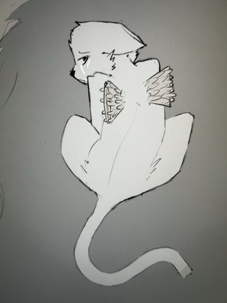 Hams | 🌌 tweet media