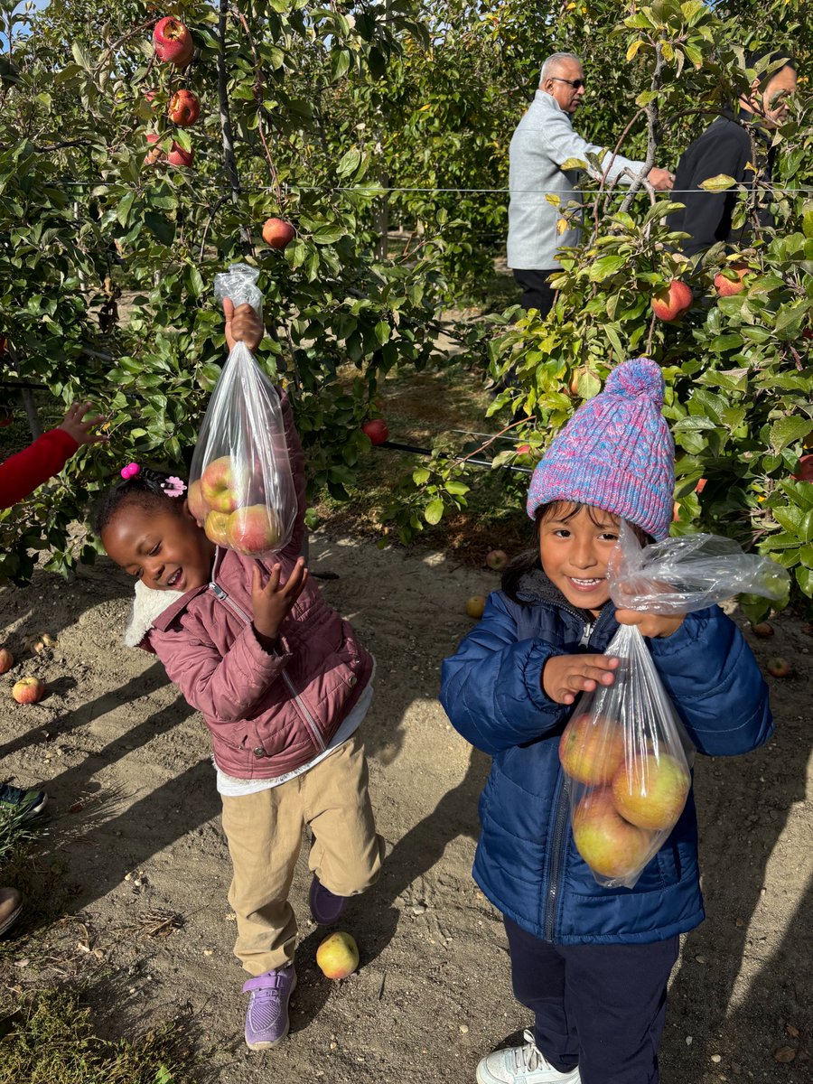 rbcsnj's tweet image. When PreK is learning about trees...why not get to see them up close with some apple picking? 📷📷
.
.
.
#RBCS #RedBank #CharterSchool #TakingTheWorldByStorm #BlueStorm #Preschool #PreK