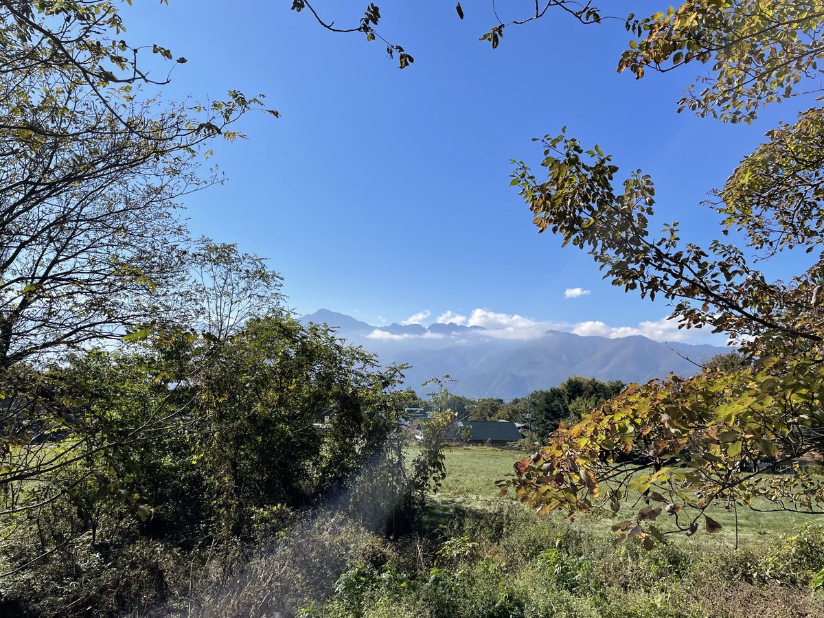 きちゃって山みて山のポーズおはようございます