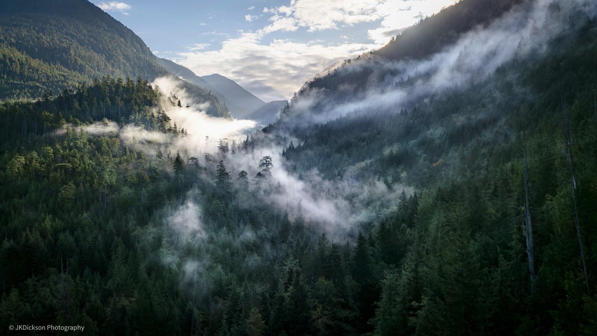 MikersCalgary's tweet photo. Good Morning!! Morning fog over Vancouver Island [OC] [3266x1826] https://t.co/fcglorDnRW