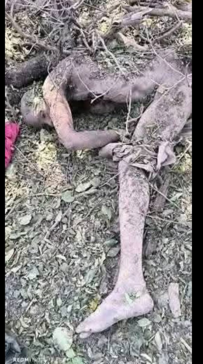 DelphineSankara's tweet photo. 🛑Mali🇲🇱/Que ce soit au Sud, au Nord, à l’Est, à l’Ouest ou au Centre, vous n’aurez de répit nulle part.

Où que vous alliez, le feu de la République vous poursuivra. Il n’y a pas deux choix : c’est soit la République, soit six pieds sous terre.

La Lutte Continue..... https://t.co/yEXoklsggX