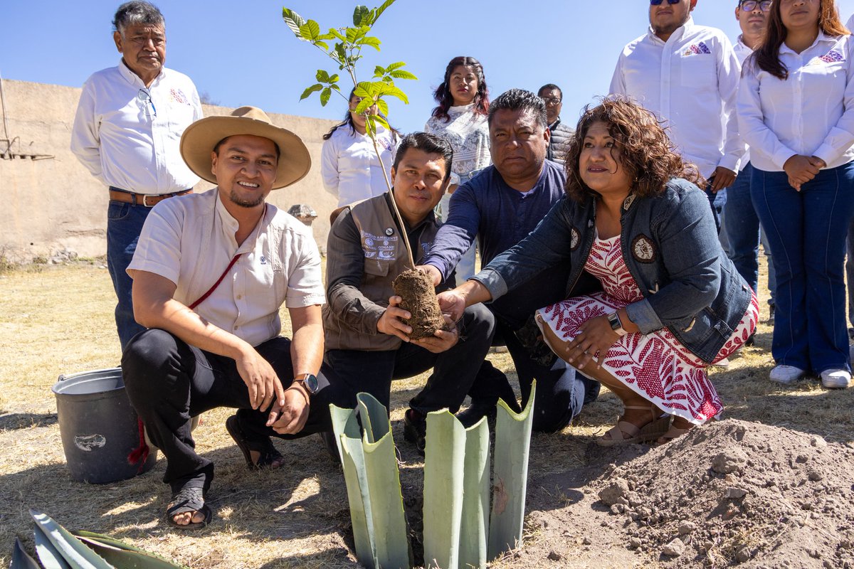 Ambiente_GobOax's tweet photo. 🌳 Compromiso con la naturaleza en San Pablo Villa de Mitla 🌳

Durante las actividades de las Caravanas del Medio Ambiente Layú Stidu, se visitaron los dos nuevos Árboles Notables, y se realizó la plantación simbólica de un árbol, reafirmando el compromiso de la comunidad. https://t.co/kZJHz773px