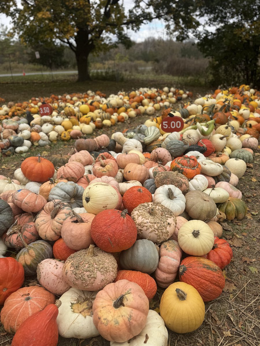 AnnaBritnell's tweet photo. Michigan shows off in October. https://t.co/fnqV4YV9lM