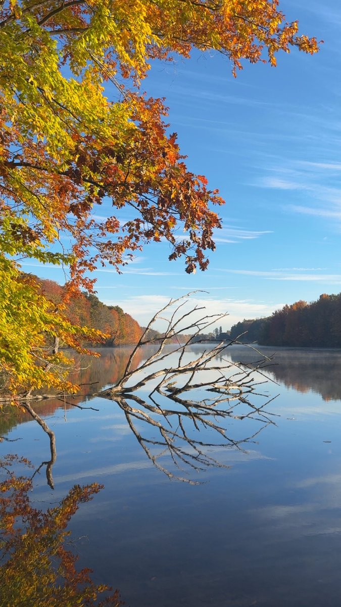 AnnaBritnell's tweet photo. Michigan shows off in October. https://t.co/fnqV4YV9lM