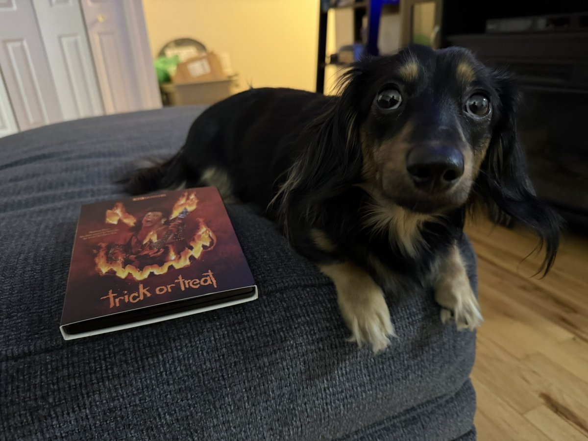 31 Nights of Halloween with Josie continues with the 1986 slasher film, “Trick or Treat.” (First time watch.) 🎃❤️🐾