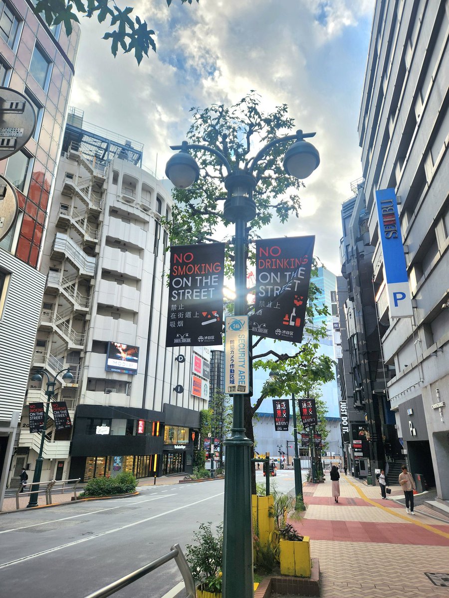 yukiyukisasa's tweet photo. 渋谷区ではハロウィン🎃のマナー啓発のために、
毎年、約1400万円をかけて新しいフラッグ🏳を作っています。

毎年つくって捨てるのは、
税金のむだ使いですし、環境負荷にもなるので、
私は、毎年使えるものを作るべきだと考えています。

例えば、1枚目の「路上喫煙禁止」「路上飲酒禁止」は、
毎年使えるのでいいと思います！

2枚目の画像は、今年の標語の「禁止だよ！迷惑ハロウィン」のフラッグです。