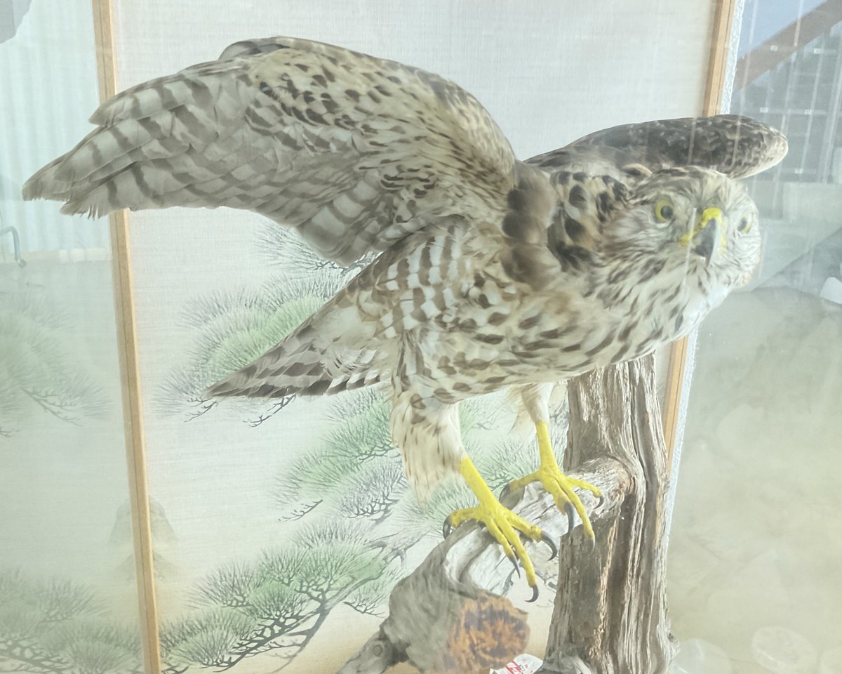 ?島旅への誘い ツアー参加編?‍♀️ 伊勢志摩国立公園に属し自然豊か 