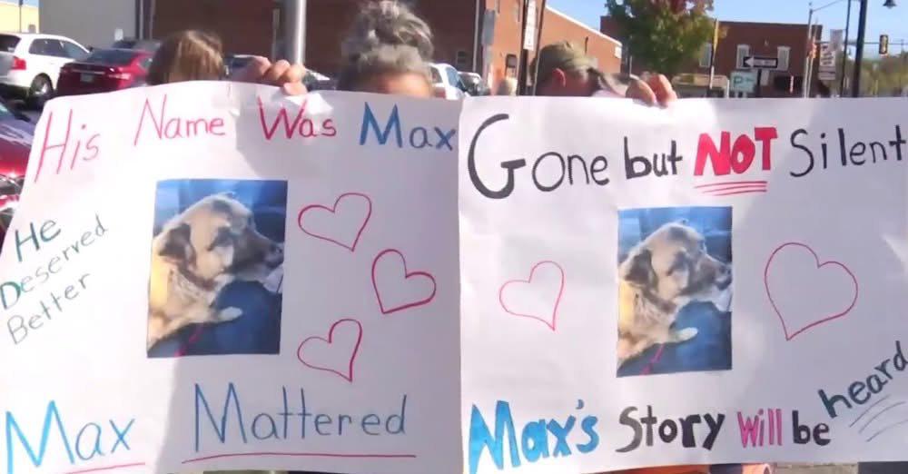 $MAX WILL NOT BE FORGOTTEN!

CNunTbxDY8JMBy5qk73P7zo2k4dun3uQ4GdRvBjzpump