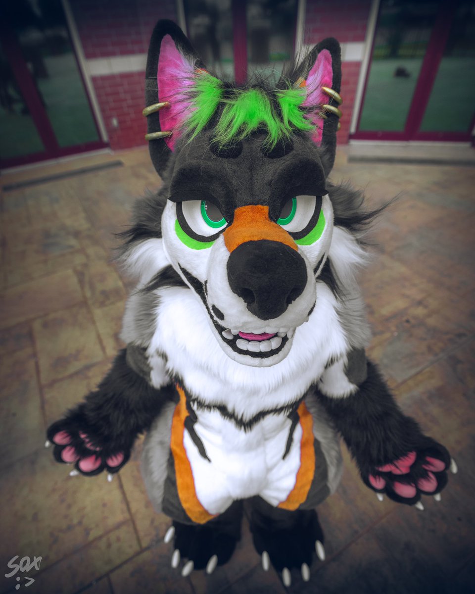 hackermutt's tweet image. yea i’m 🤏