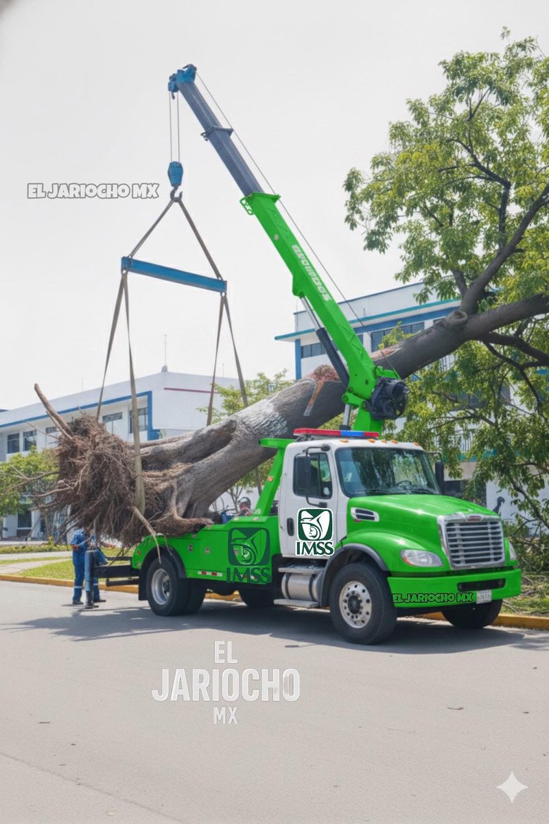 Me van a llevar a un chequeo al IMSS, por fin llegó el día de mi cita que saqué en 1998