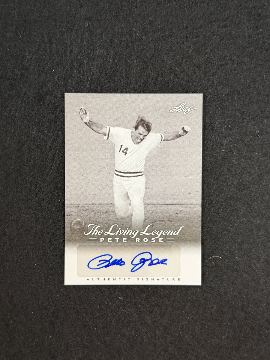 paullydoughnuts's tweet image. Pretty Pete
$20
@bigbridealguy Tommy Pickles wants to
know why the hell is the GOAT so cheap?! 
#gettostackin for the people