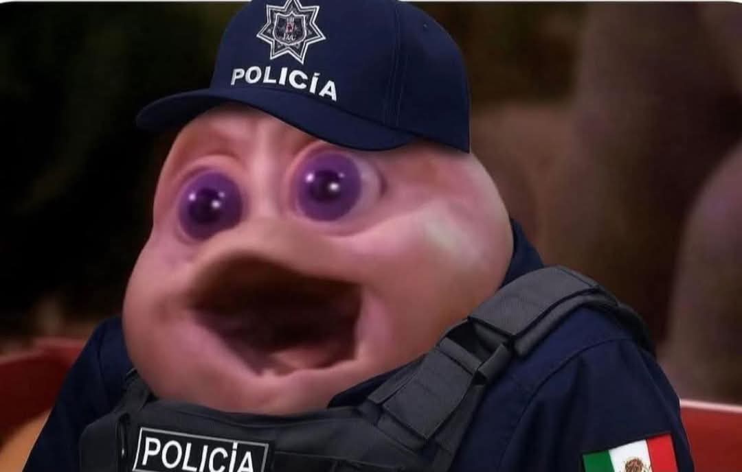 MameShitPst's tweet photo. El poli viendo como se asoman dos de $500 cuando saco mi licencia https://t.co/kLDXTJde09