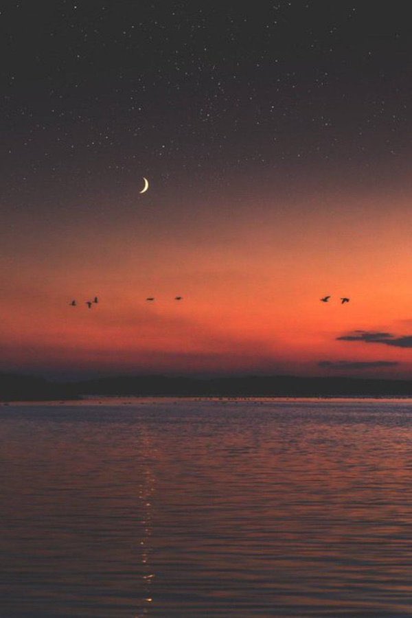 Feuerhand (@solarstorm777) on Twitter photo 