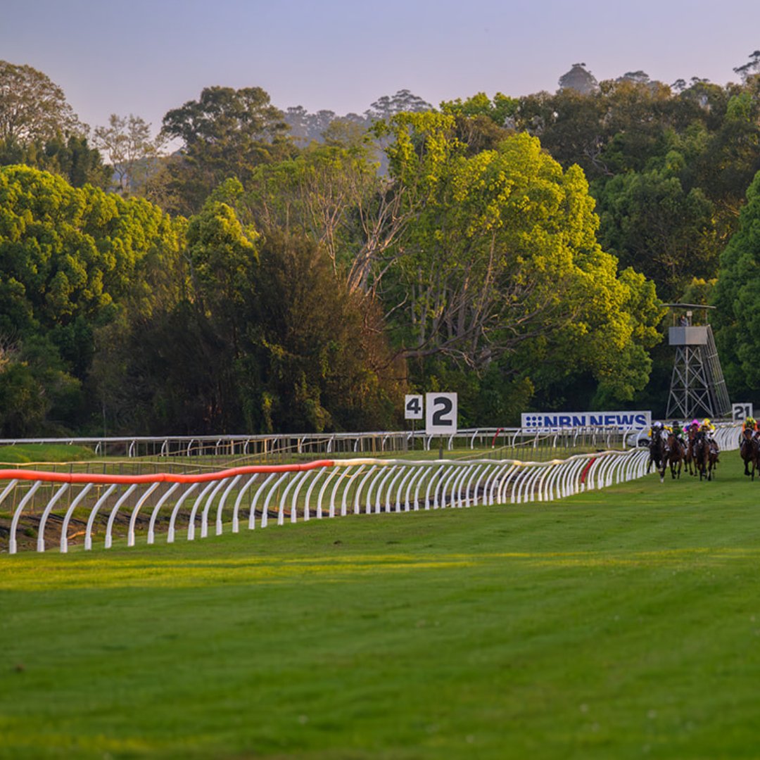 Lismore Turf Club tweet media