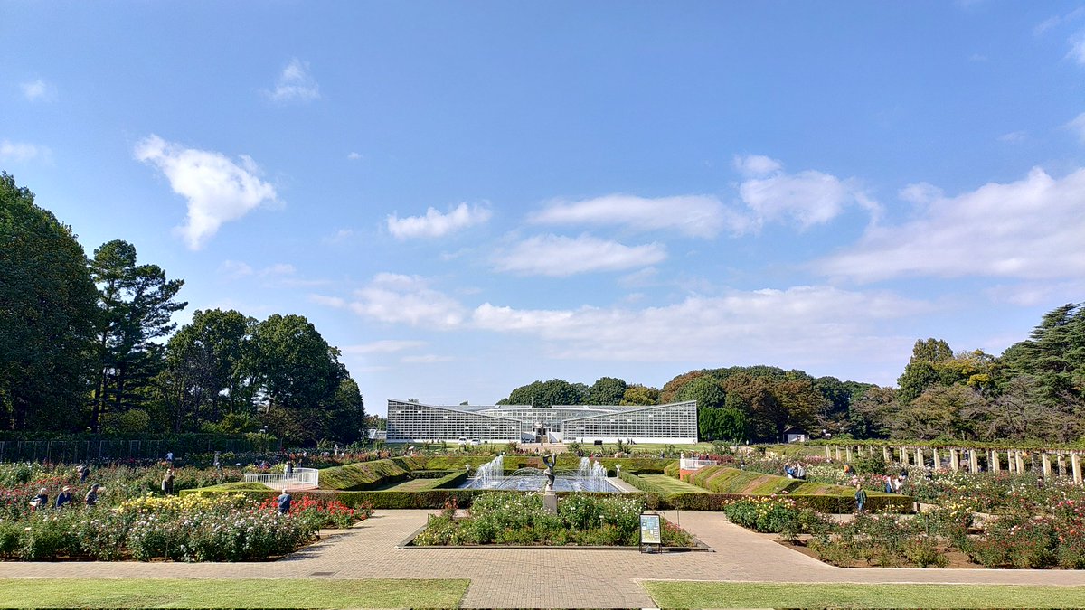 Miminov17's tweet photo. 神代植物公園バラ園
深大寺はちゃんとバイク置き場があって良いです https://t.co/X8RDgHcQ4n
