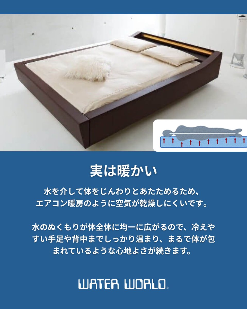 ドリームベッド (@dreambed_jp) / Highlights / X