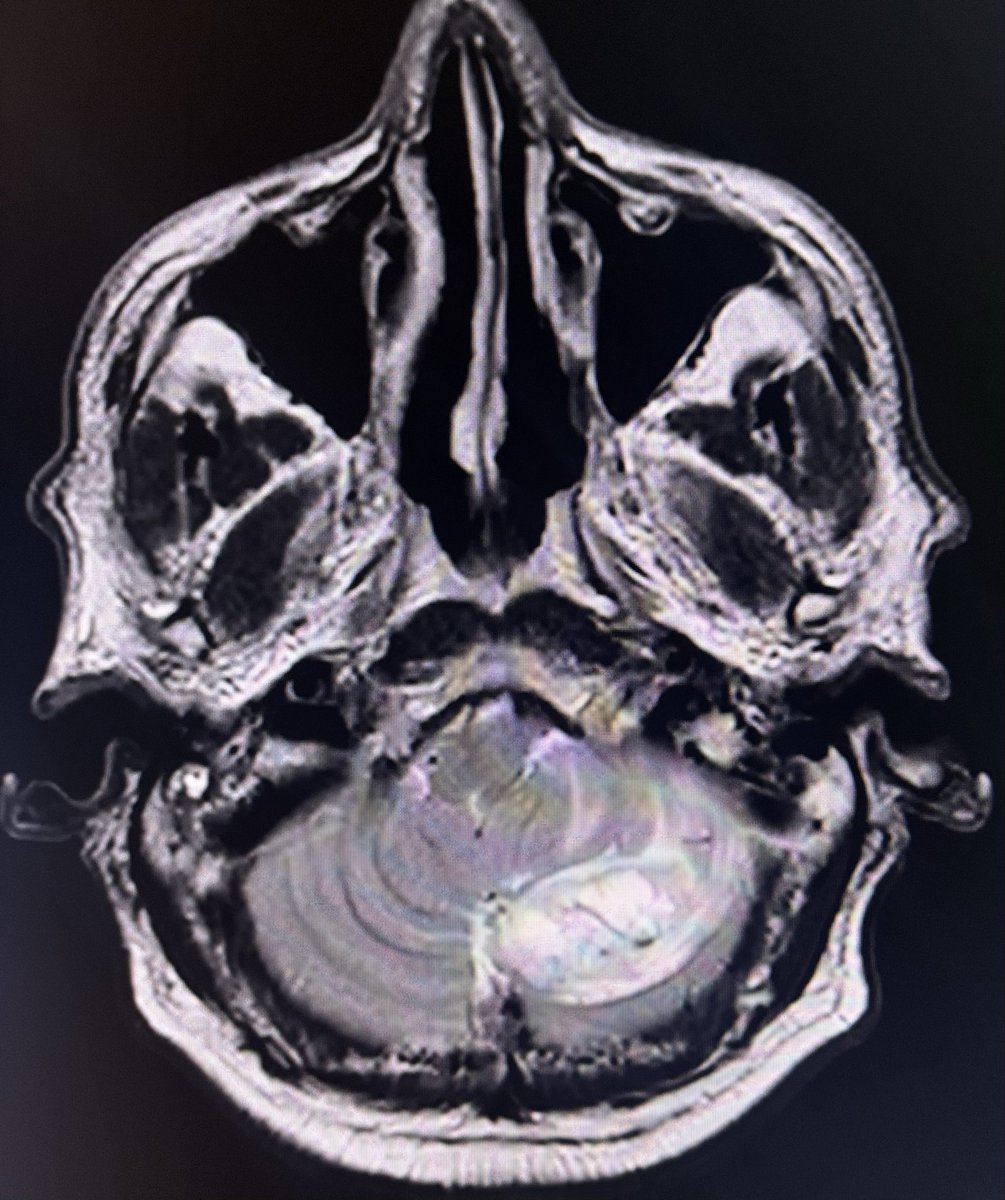 Dr.Yevvari Sameera tweet media