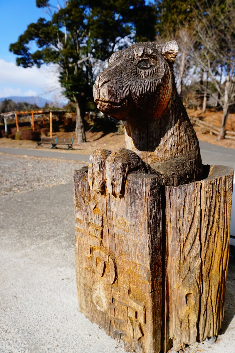 ヒツジノ/一日一羊🐏 (@Ptarmigan0606) / Posts / X