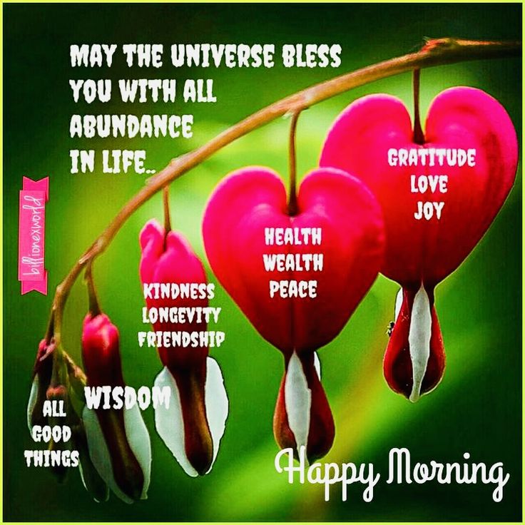 BataBose's tweet photo. SUPRAVAT https://t.co/cvMdV5RneX