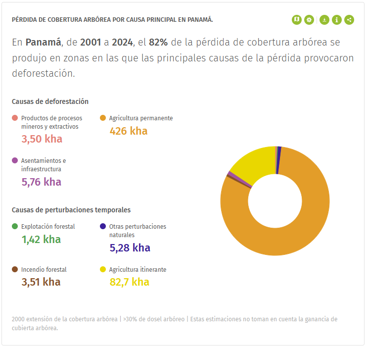 LoroVerdeDePTY's tweet photo. Sigamos educando a los Haters hambrientales:
Entre 2001 y 2024, Panamá perdió 531 mil hectáreas de bosque, el equivalente a toda la provincia de Colón cubierta de árboles desaparecida. 🌳

Y las causas, son:
1. Agricultura itinerante – 82,7 kha
2. Asentamientos e infraestructura – 5,76 kha
3. Otras perturbaciones naturales – 5,28 kha
4. Incendios forestales – 3,51 kha
5. Procesos mineros y extractivos – 3,50 kha
6. Explotación forestal – 1,42 kha
7. Agricultura permanente – 0,43 kha

¿No que el hambrientalismo promovía “agricultura y turismo sostenible”?
Ahí les dejo la fuente. Edúquese, y si no… revísese. https://t.co/Jvdq6vU0sB